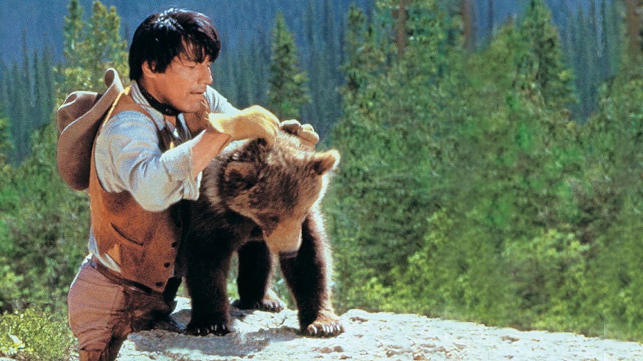 Backdrop – König der Grizzlies