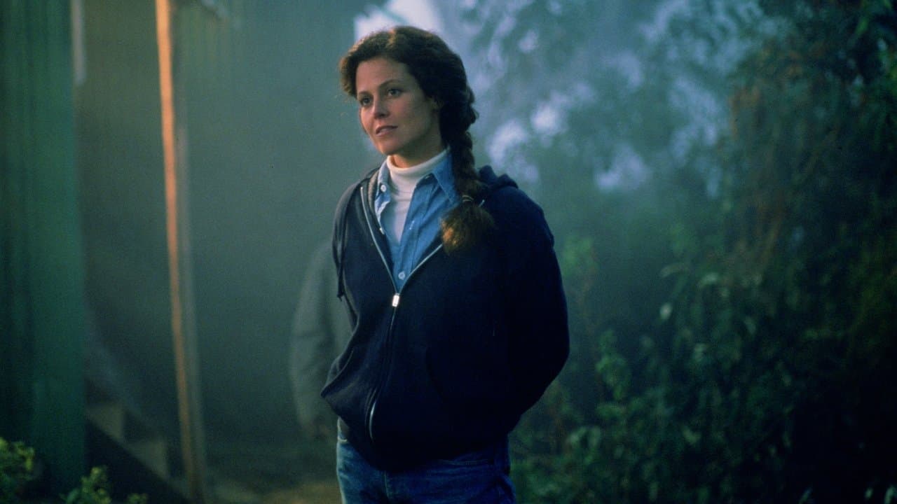 Backdrop – Gorillas im Nebel