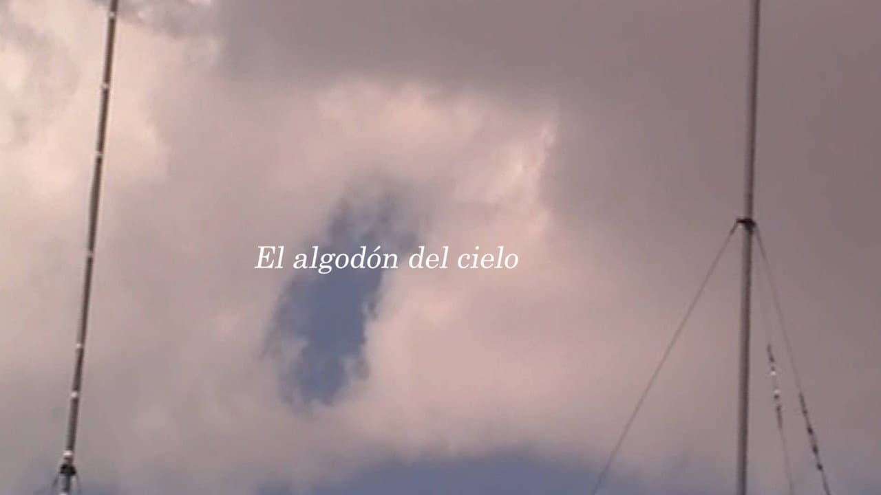 Backdrop – El algodón del cielo
