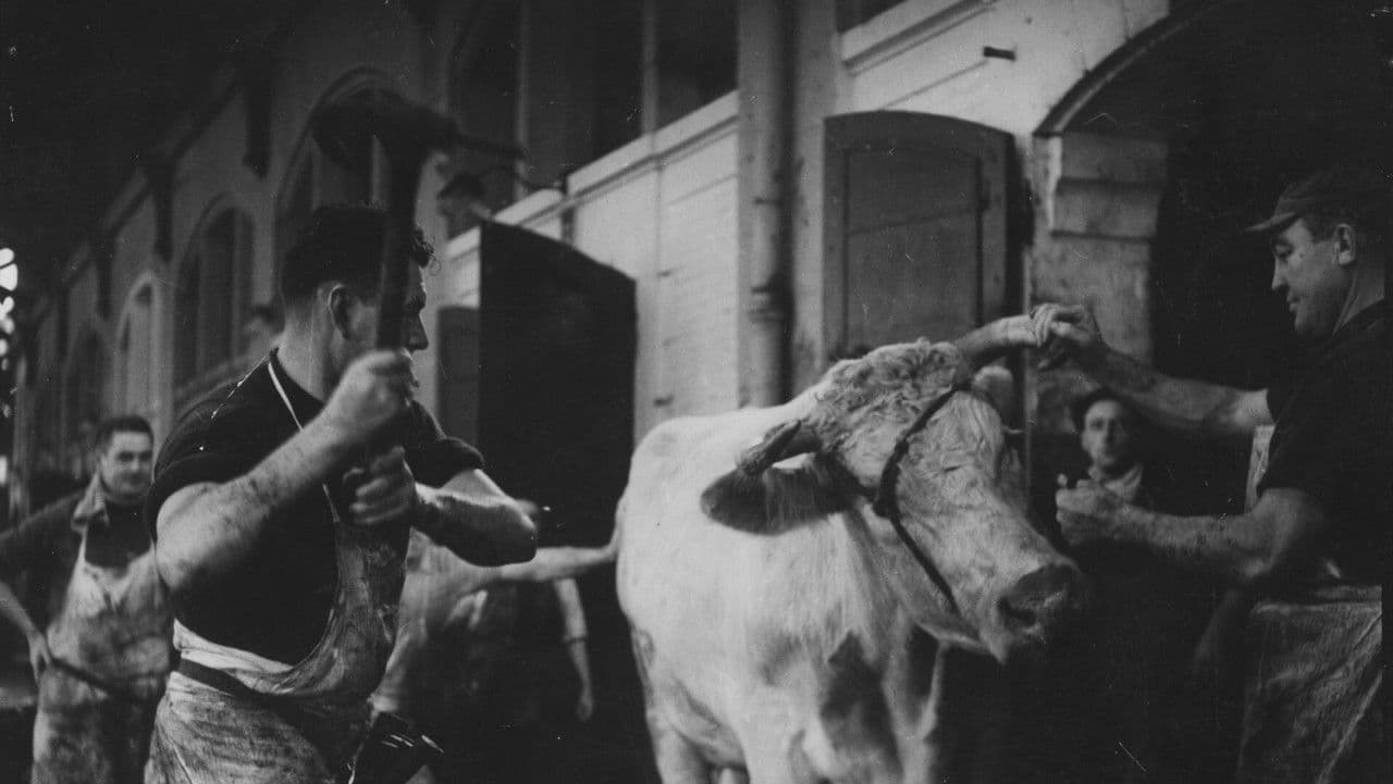 Backdrop – Das Blut der Tiere