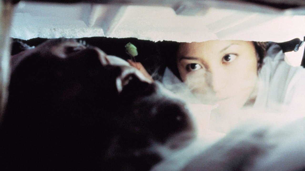 Backdrop – Freeze Me