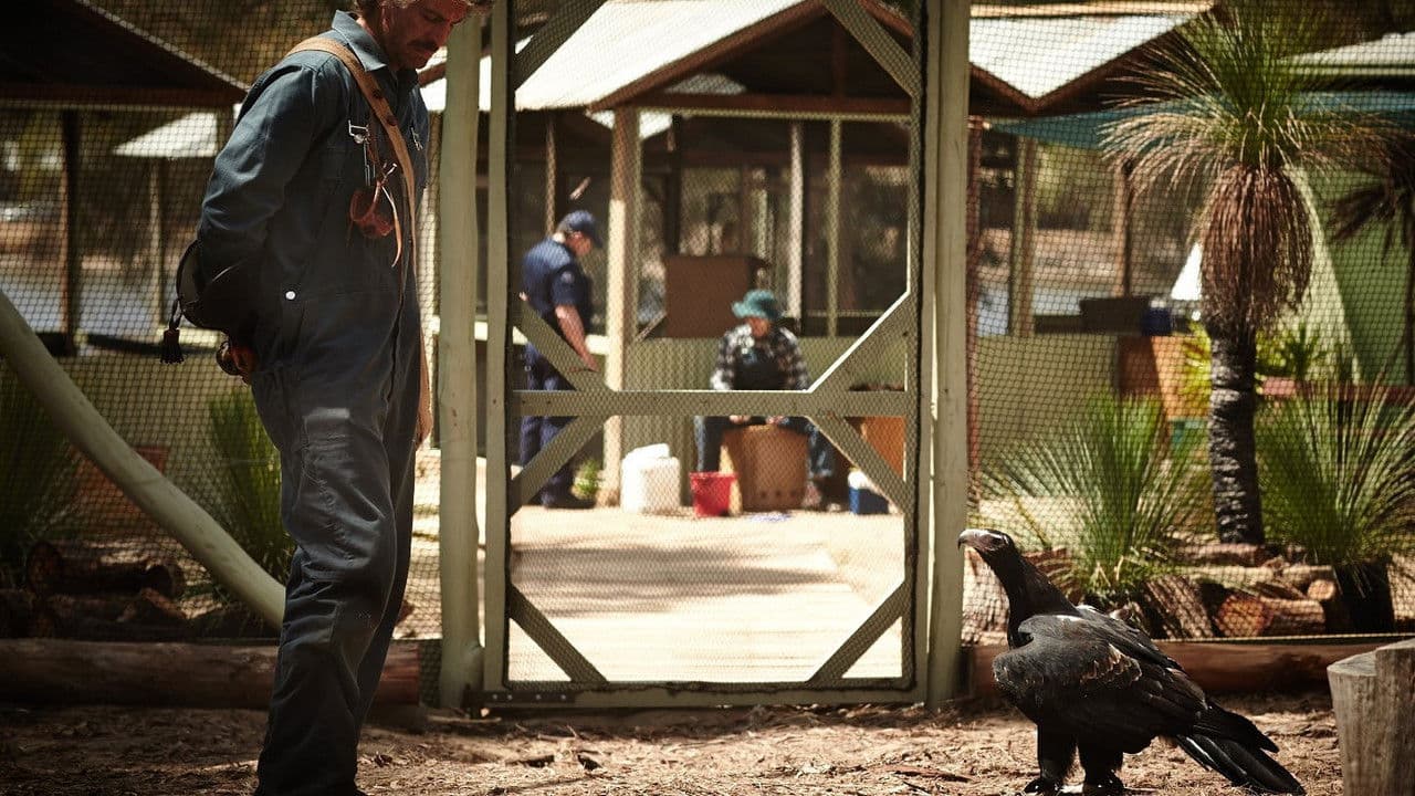 Backdrop – Healing