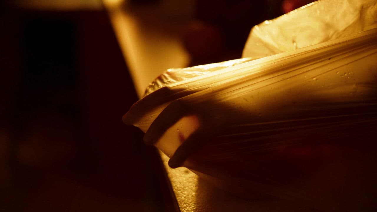 Backdrop – Lūgnė