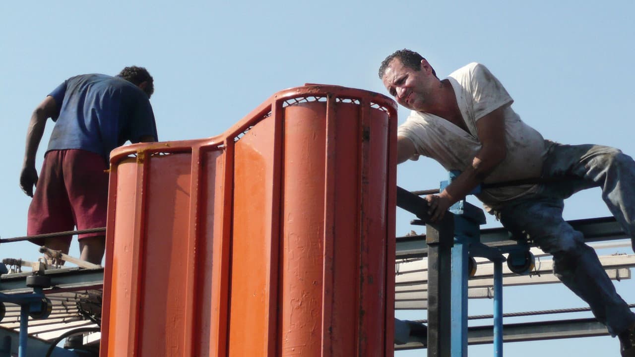 Backdrop – Zipper: Coney Island's Last Wild Ride