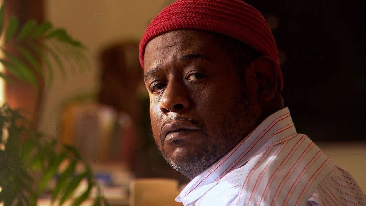 Backdrop – Ripple Effect