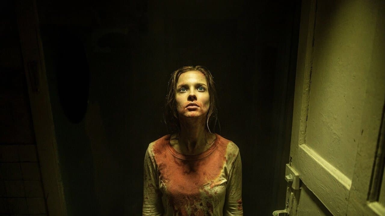 Backdrop – Sleepless Beauty