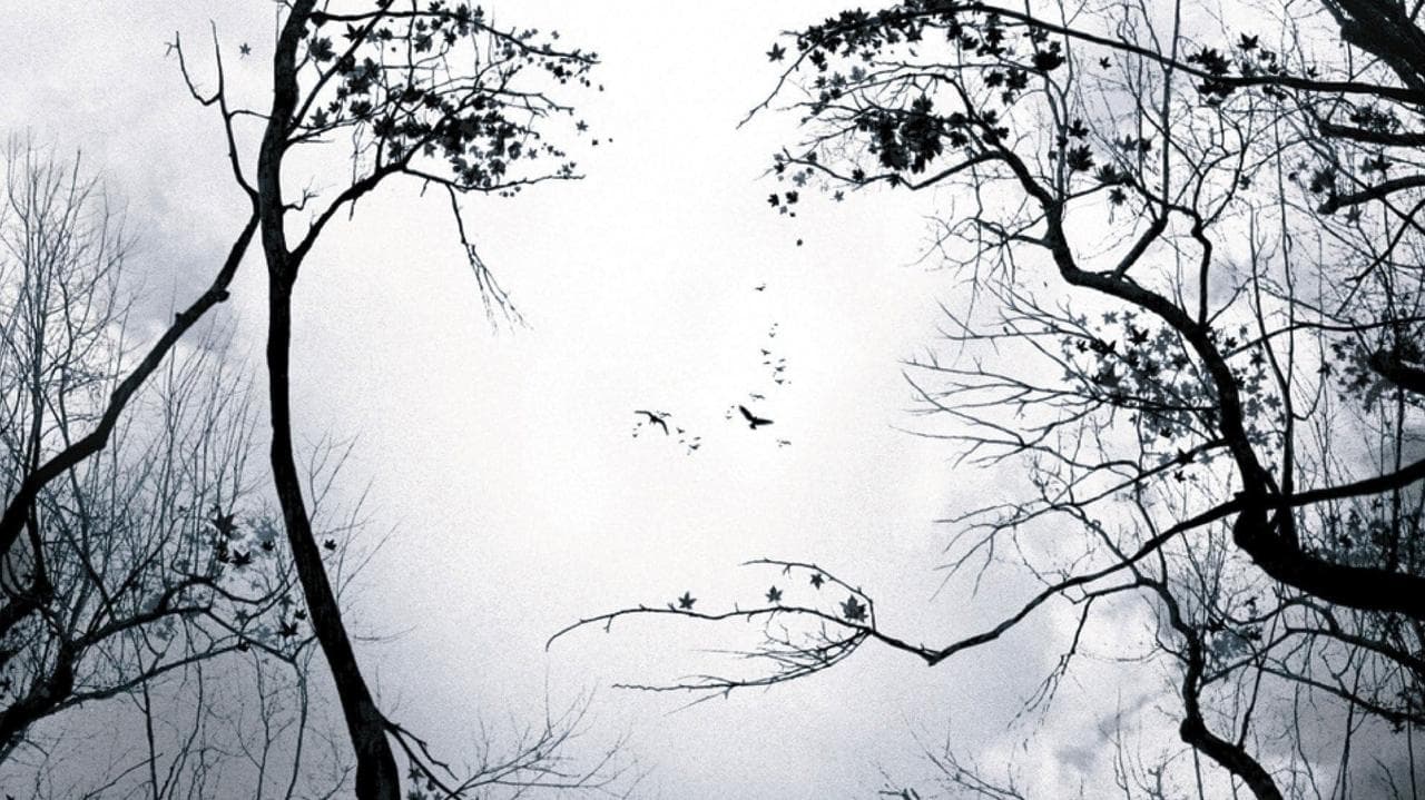 Backdrop – Die Vorahnung