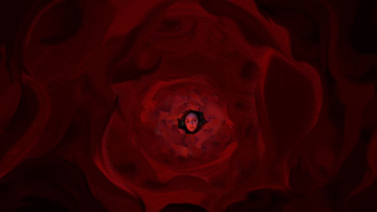 Backdrop – Iracema