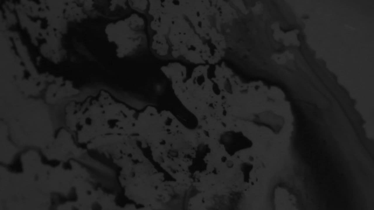 Backdrop – Je peux pas supporter l'éteinte da le douceur dans ce monde