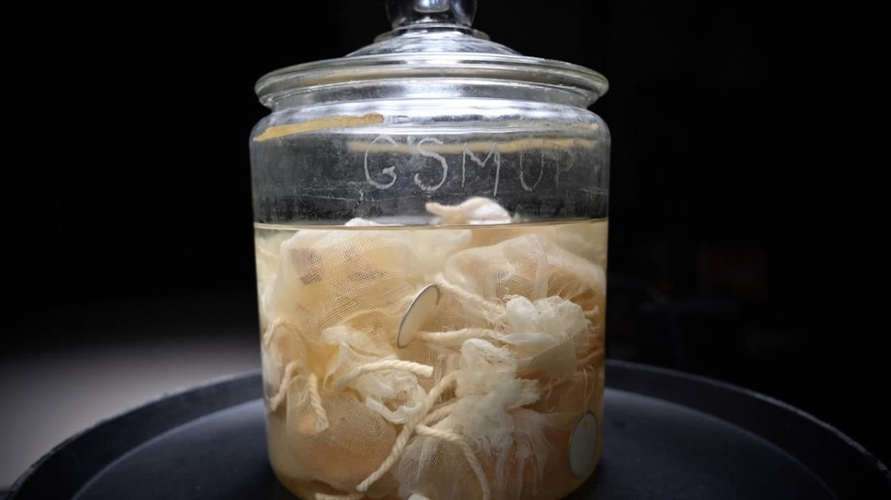 Backdrop – The Man Who Stole Einstein's Brain