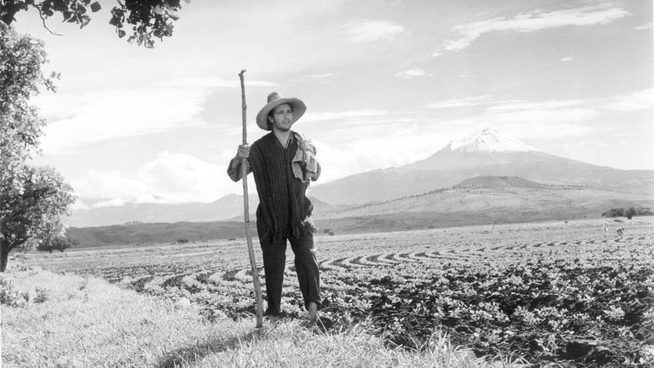 Backdrop – Nazarín