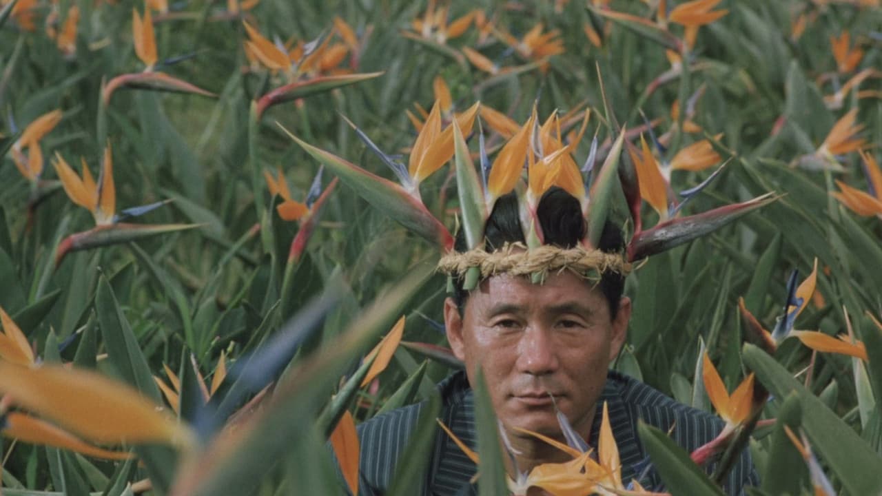 Backdrop – Boiling Point