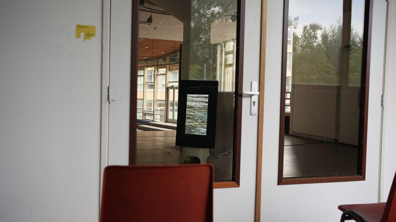 Backdrop – A puddle of water held in shape by my thoughts