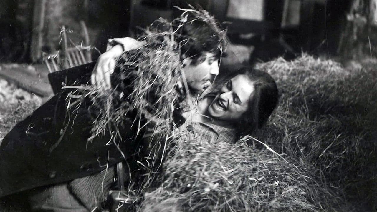 Backdrop – Rdeče klasje