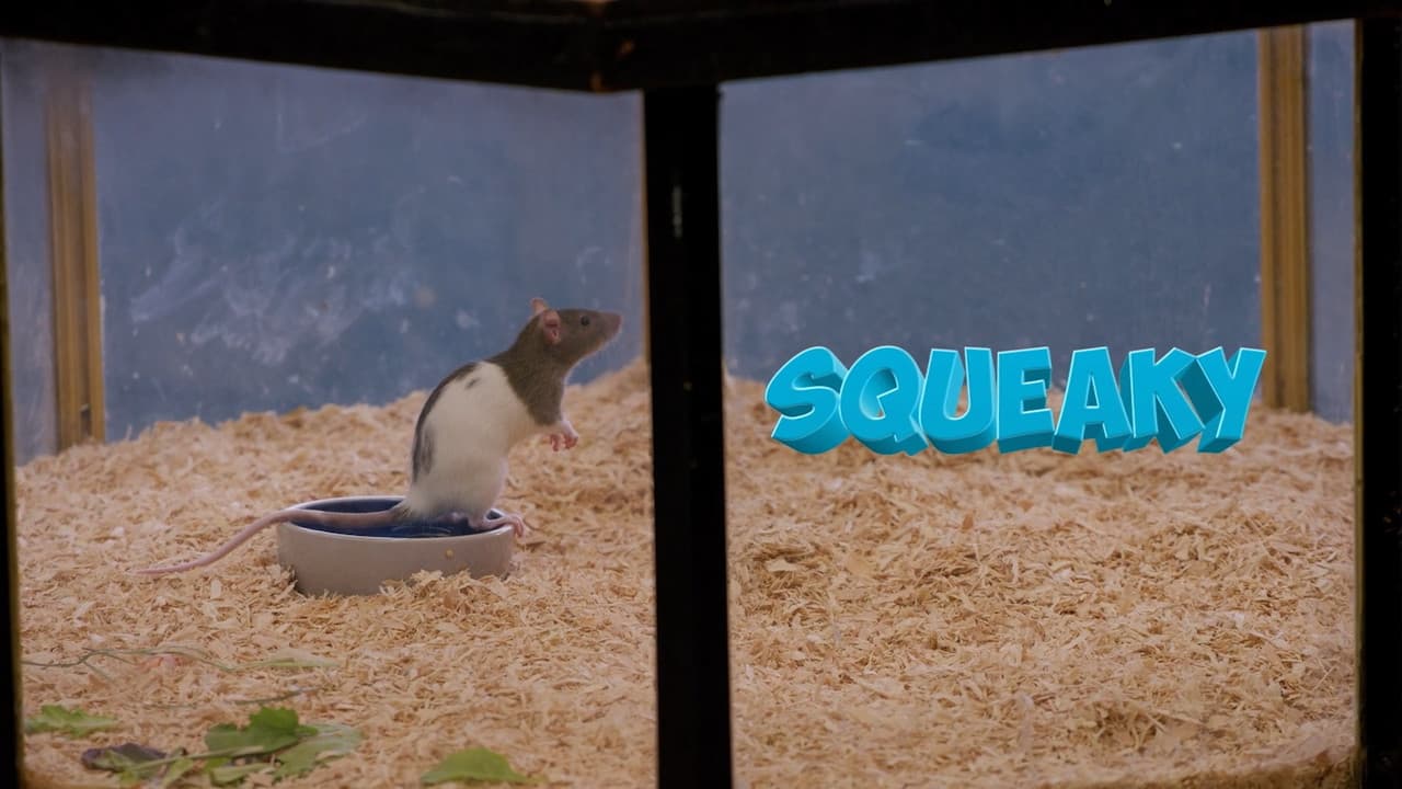 Backdrop – Squeaky the Rat