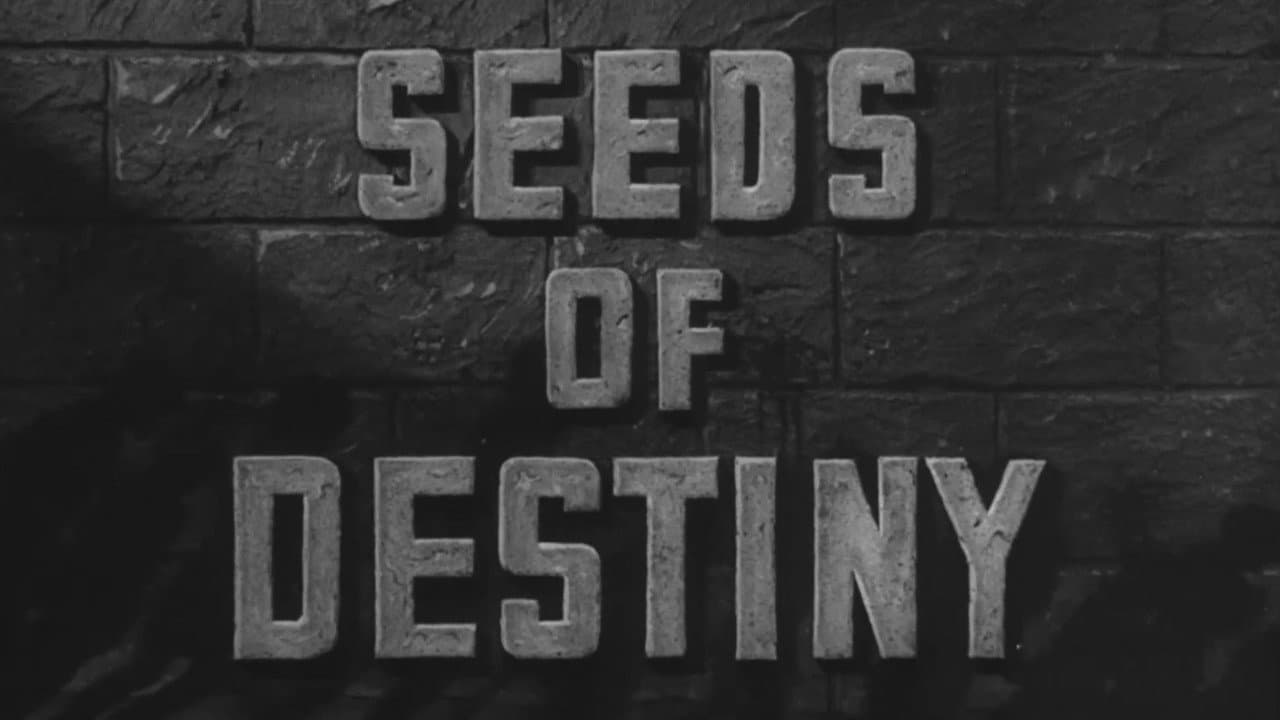 Backdrop – Seeds of Destiny