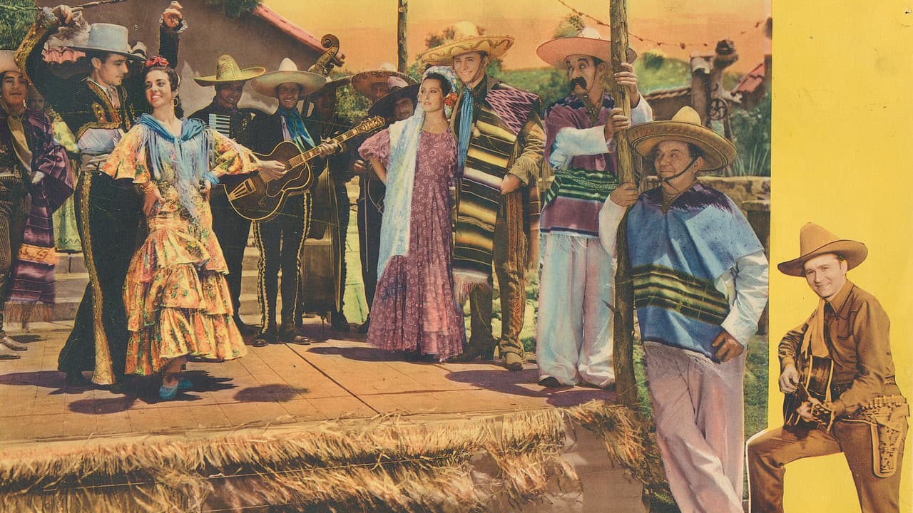 Backdrop – Starlight Over Texas