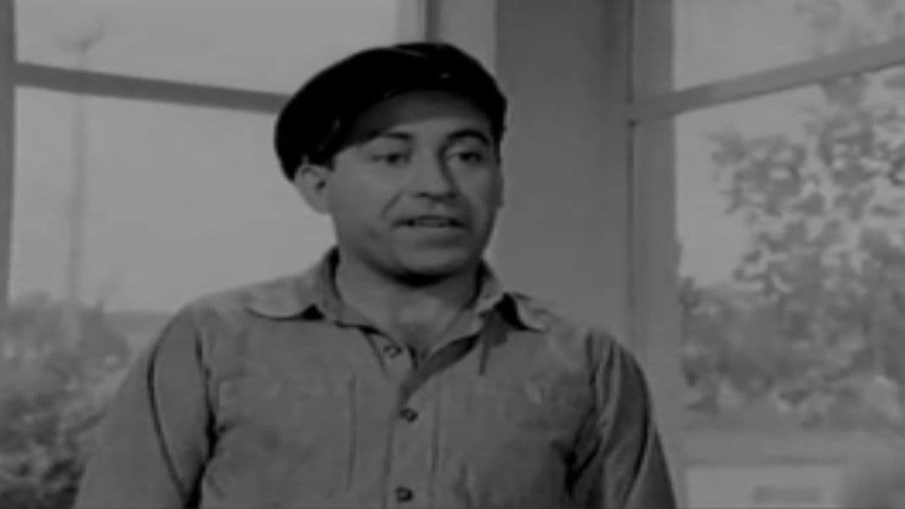 Backdrop – Ο Τρελλάρας