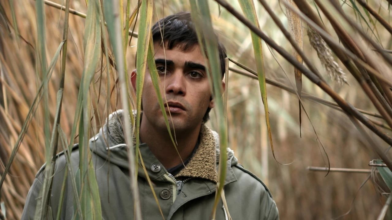 Backdrop – Süt - Milch