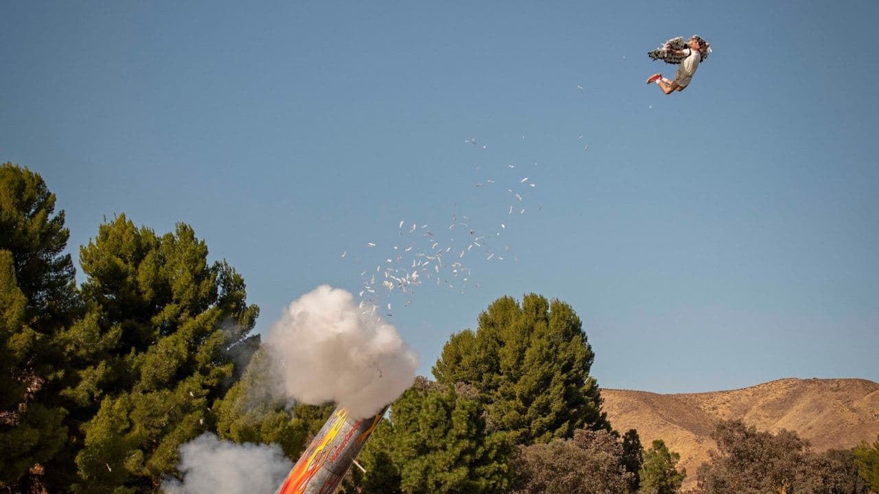 Backdrop – Jackass Forever