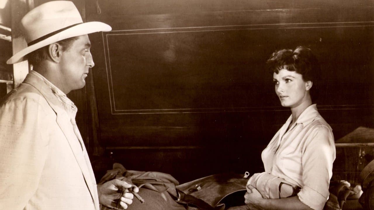 Backdrop – Bandido