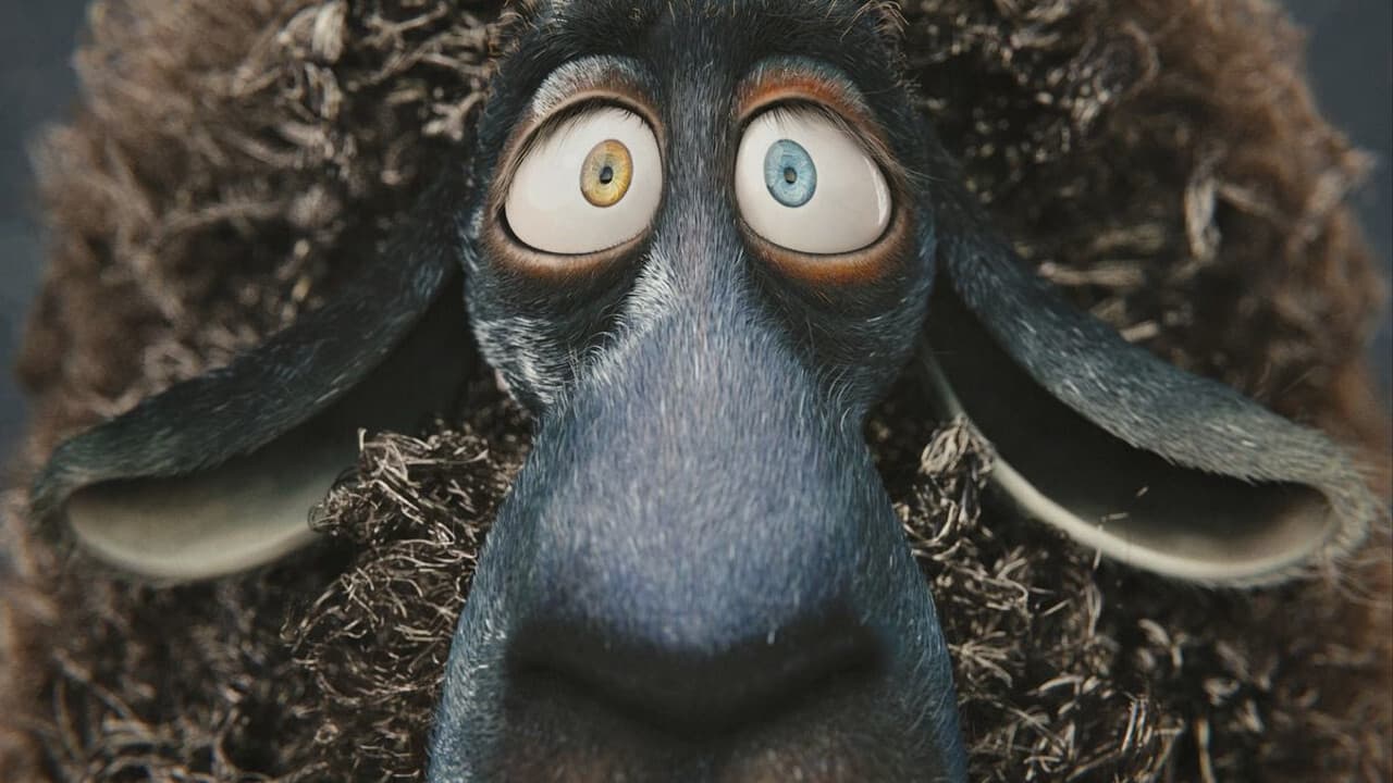 Backdrop – Cosmos Laundromat