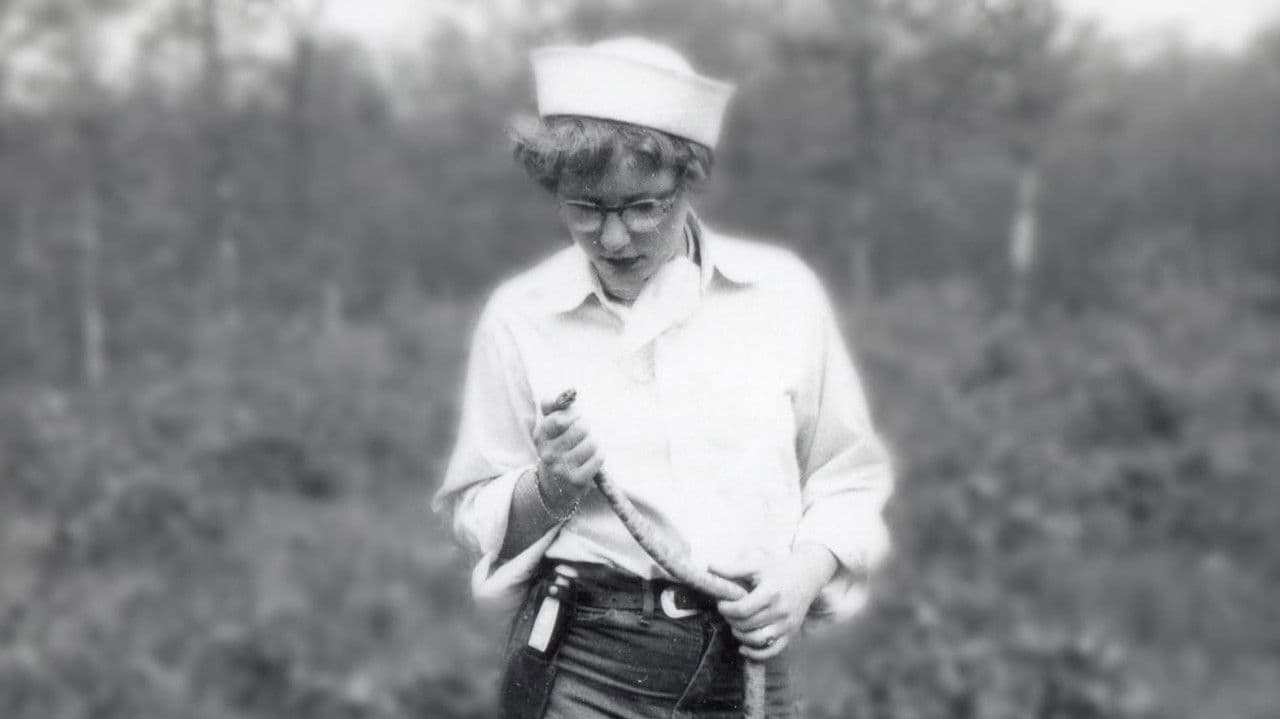 Backdrop – Joanne Martin: A Life in Miniature