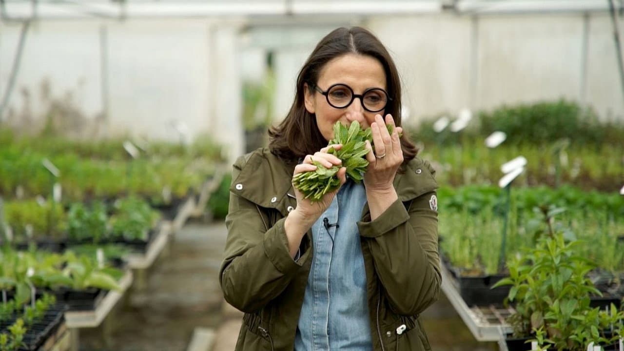 Backdrop – La vérité si je menthe