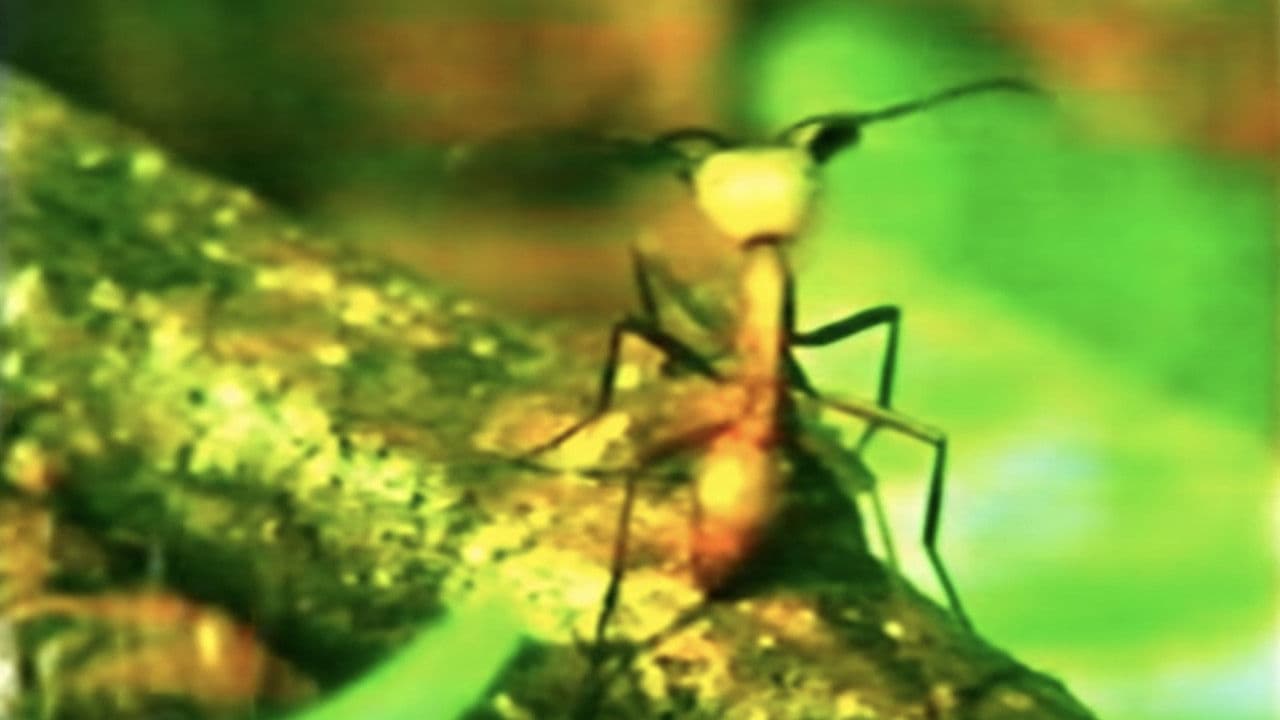 Backdrop – A Thousand Million Million Ants