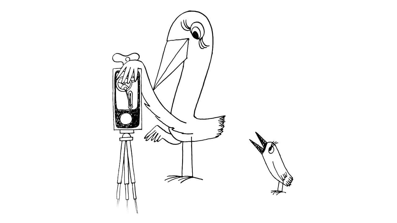 Backdrop – Ptáci Koháci