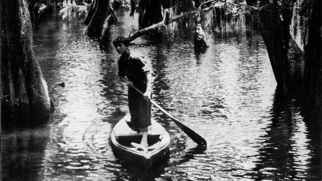 Backdrop – Louisiana Story