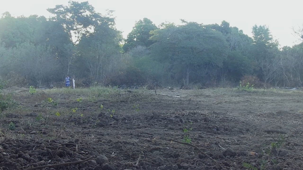 Backdrop – Siempre Andamos Caminando