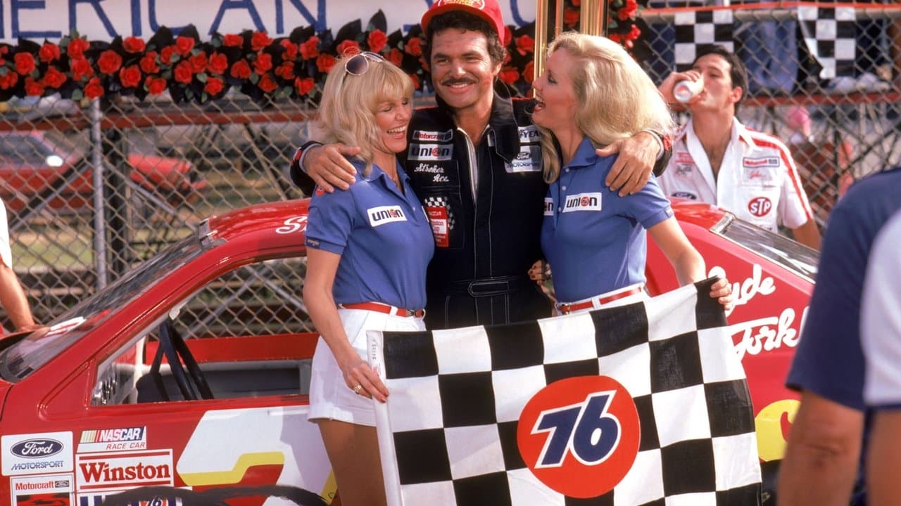 Backdrop – Der rasende Gockel