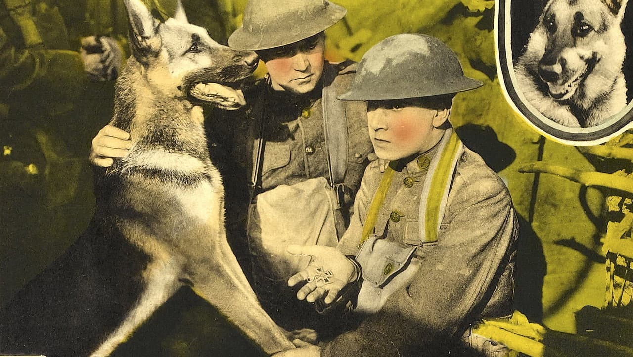 Backdrop – His Master's Voice