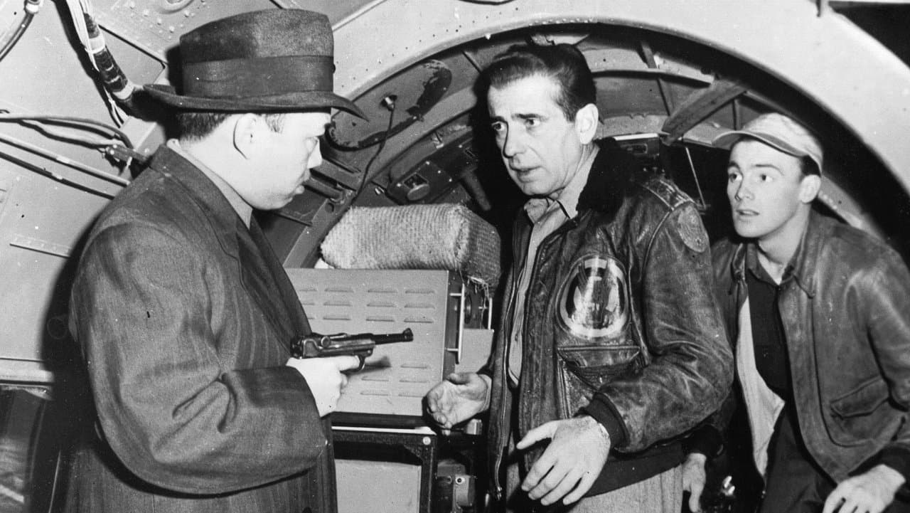 Backdrop – Tokio-Joe