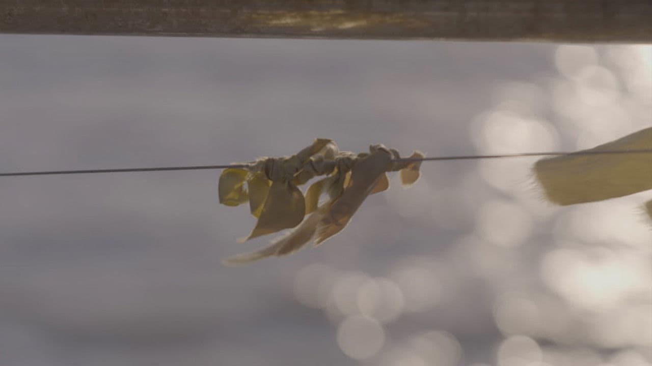 Backdrop – 세 가지 안부