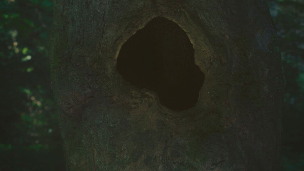 Backdrop – Earthen