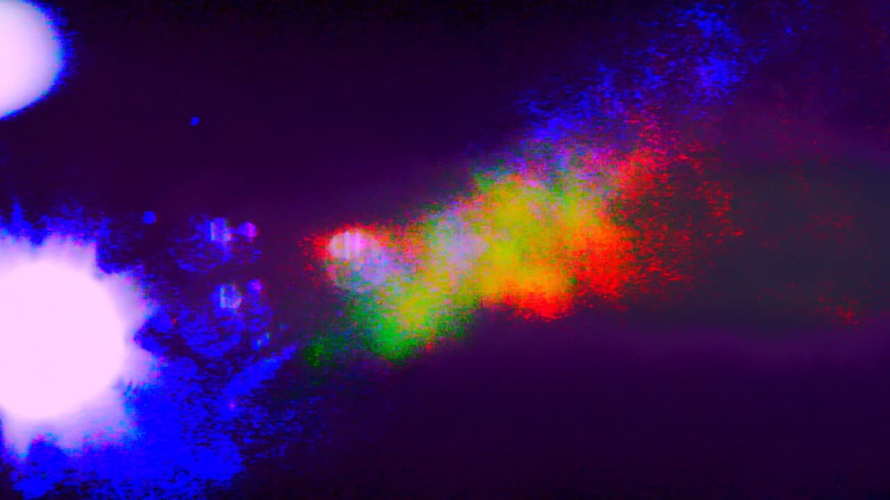 Backdrop – Cygnus-X