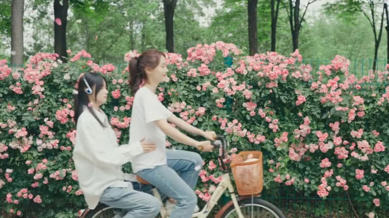 Backdrop – You Who Are Lost With the Wind