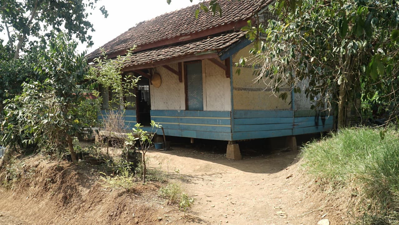Backdrop – Yang Terungkap