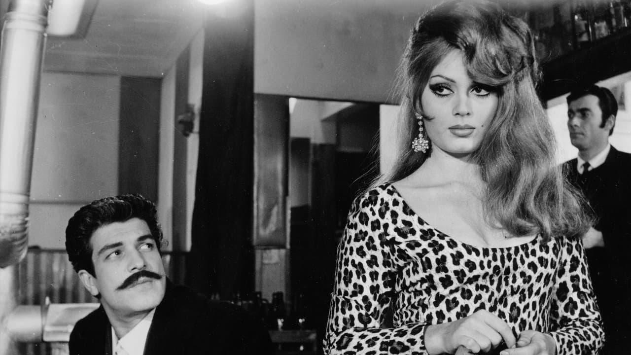 Backdrop – Vesikalı Yarim