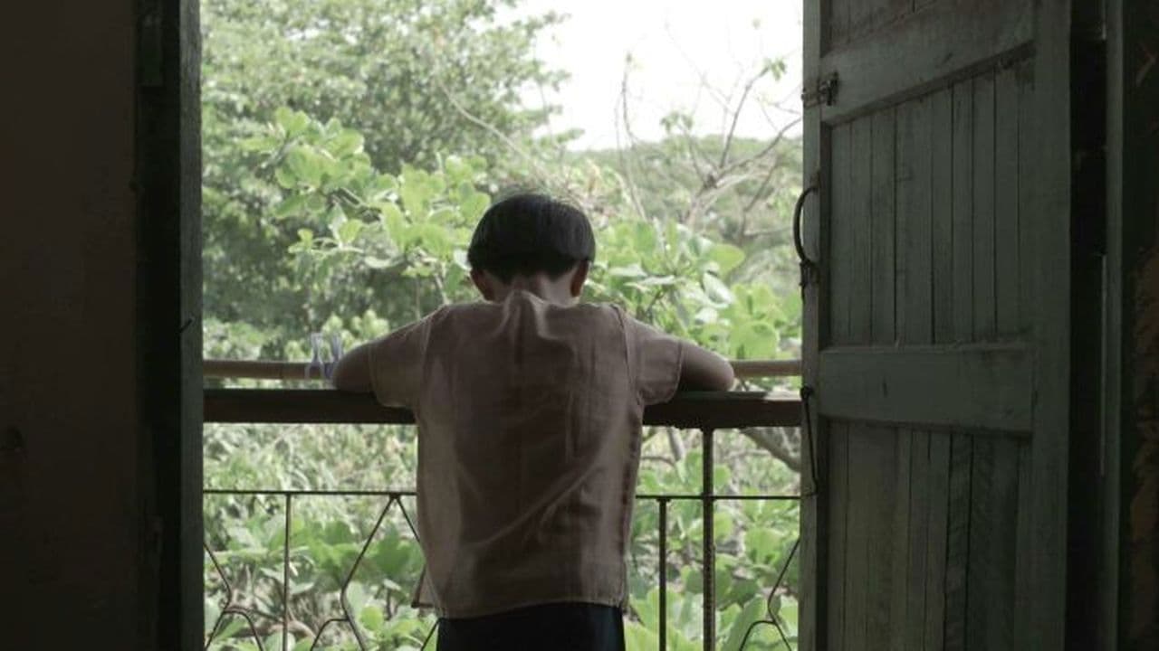 Backdrop – ပြာပြာညိုရောင် မှိုင်းတလဲ့လဲ့