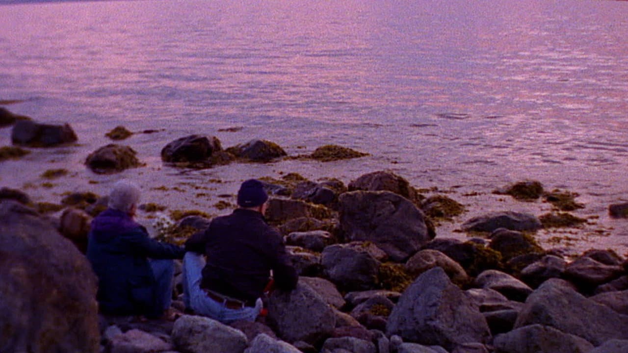 Backdrop – Dear Zachary: A Letter to a Son About His Father