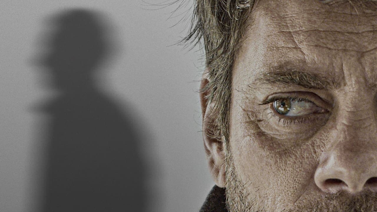 Backdrop – Here Be Dragons