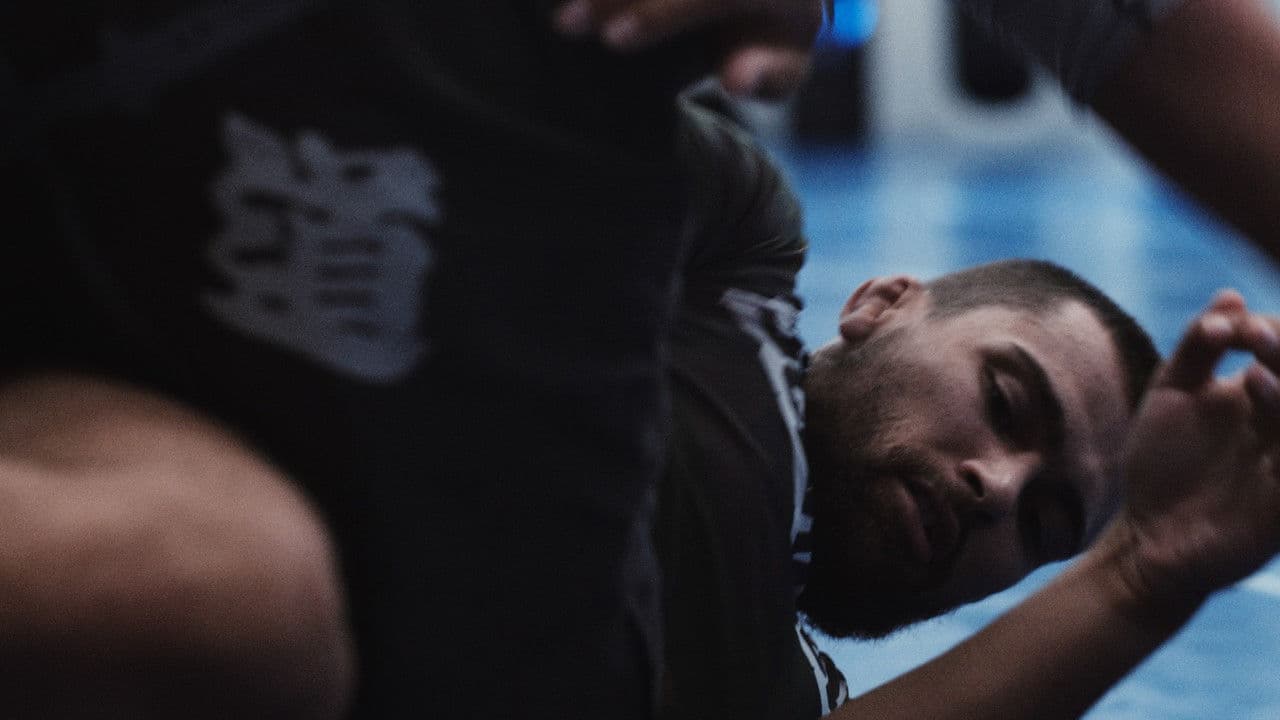 Backdrop – The Hammer And The Nail