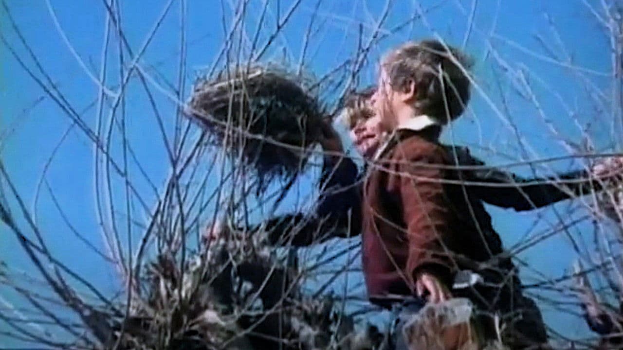 Backdrop – Ангелочек, сделай радость