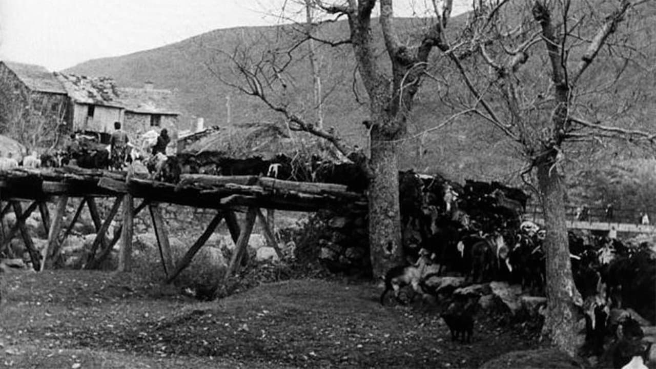 Backdrop – Carta de Sanabria