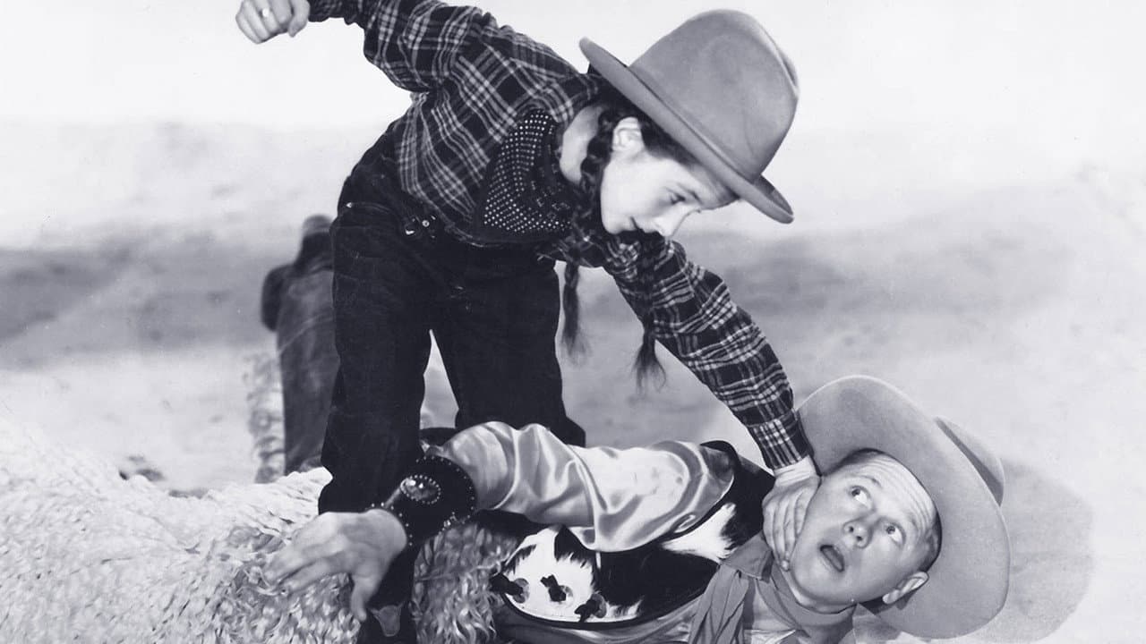 Backdrop – Out West with the Hardys