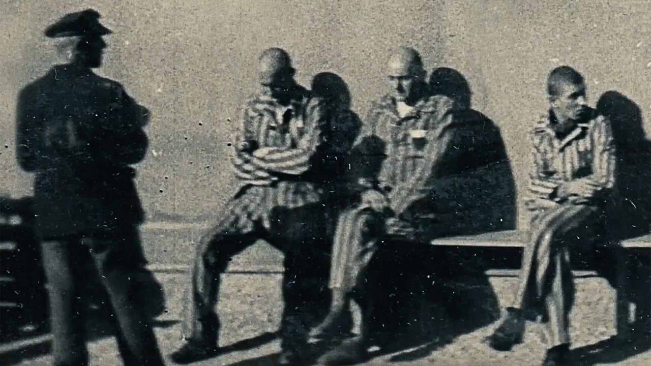 Backdrop – From Where They Stood