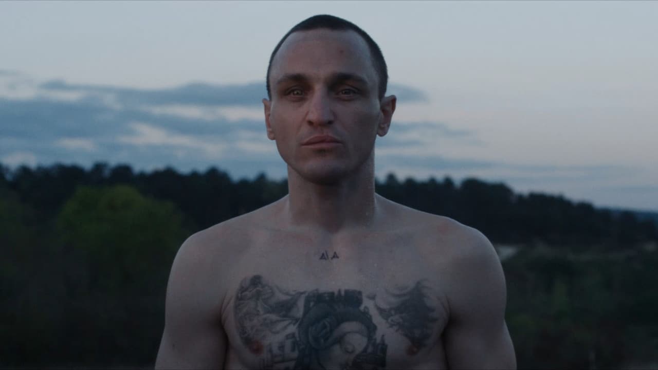 Backdrop – Disco Boy